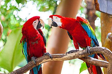 《瘟疫传说：安魂曲》达到新里程碑：玩家超300万